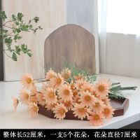 家居雏菊洋甘菊非洲菊波斯菊仿真花菊花人造绢花家居客厅|香槟 洋甘菊10枝(送玻璃花瓶)