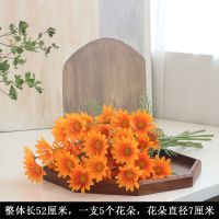 家居雏菊洋甘菊非洲菊波斯菊仿真花菊花人造绢花家居客厅|橘色 洋甘菊10枝(送玻璃花瓶)