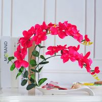 蝴蝶兰仿真花套装pu手感塑料花假花盆栽客厅餐桌室内装饰插花摆件|S盆苍兰红色套装 默认