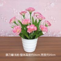 客厅仿真花摆设塑料假花向日葵小盆栽红掌餐桌面卧室绿植摆件绢花|康乃馨浅粉+中盆