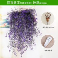 假花仿真花藤藤条装饰花艺客厅壁挂花垂吊塑料藤蔓花条吊兰金钟柳|两束紫蓝短款+挂篮(颜色随机)