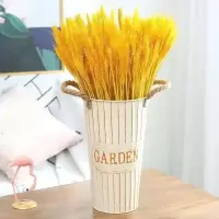 麦穗开业大麦干花金色黄金麦穗客厅装饰花瓶插花真花永生花束|乳白色花桶[加厚]+金黄色麦穗300