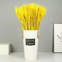 麦穗开业大麦干花金色黄金麦穗客厅装饰花瓶插花真花永生花束|黑白色花桶[加厚]+金黄色麦穗200