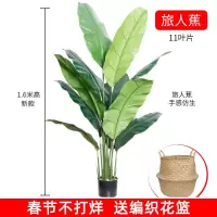 北欧假花仿真花摆件客厅装饰绿植旅人蕉龟背竹室内大型塑料树盆栽|1.6米新款旅人蕉(收藏宝贝送花篮