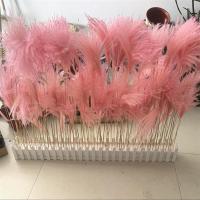 芦苇干花花束麦穗干花仿真花田园装饰ins拍照道具稻穗真花|15支粉色芦苇 60厘米