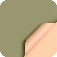 鲜花包装纸防水双色欧雅纸花店花束花艺包装纸材料手工diy包花纸|抹茶+香槟[10张]