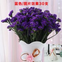 干花勿忘我云南昆明基地满天星干花配材装饰花束勿忘我永生花|勿忘我紫色 40支
