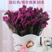 干花勿忘我云南昆明基地满天星干花配材装饰花束勿忘我永生花|勿忘我玫红 1斤花(带一个草编细腰花瓶)