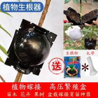 植物高压繁殖生器果树花木扦插嫁接球盒高空压杯枝育苗盒控器