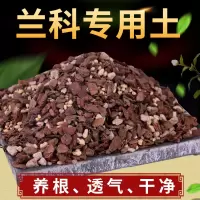 兰花土 兰花土 兰花植料兰花营养土疏松透气好养活兰界松树皮