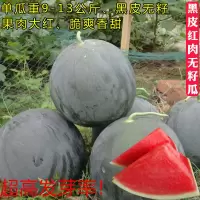 无籽西瓜种子大高产甜早熟薄皮四季播水果黑皮巨型农科院春季种