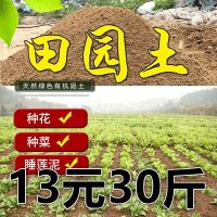 菜园土田园土碗莲泥土种菜土园土土壤 营养土花土种植土大包