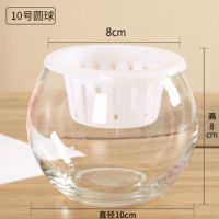 水培植物玻璃瓶 绿萝花瓶花盆玻璃圆球水养鱼缸器皿容器送栏|10圆球 1个玻璃瓶+送定植蓝