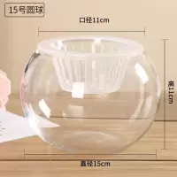 水培植物玻璃瓶 绿萝花瓶花盆玻璃圆球水养鱼缸器皿容器送栏|15圆球 1个玻璃瓶+送定植蓝