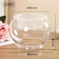 水培植物玻璃瓶 绿萝花瓶花盆玻璃圆球水养鱼缸器皿容器送栏|15D圆球 1个玻璃瓶+送定植蓝