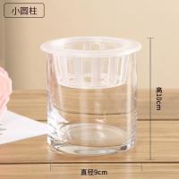 水培植物玻璃瓶 绿萝花瓶花盆玻璃圆球水养鱼缸器皿容器送栏|小圆柱 1个玻璃瓶+送定植蓝