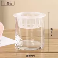 水培植物玻璃瓶 绿萝花瓶花盆玻璃圆球水养鱼缸器皿容器送栏|小圆柱 1个玻璃瓶+送定植蓝