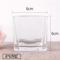 水培植物玻璃瓶 绿萝花瓶花盆玻璃圆球水养鱼缸器皿容器送栏|6x6方缸 1个玻璃瓶+送定植蓝