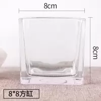 水培植物玻璃瓶 绿萝花瓶花盆玻璃圆球水养鱼缸器皿容器送栏|8x8方缸 1个玻璃瓶+送定植蓝