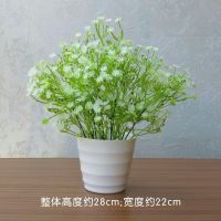 客厅仿真花摆设塑料假花向日葵小盆栽红掌餐桌面卧室绿植摆件绢花|星辰花浅绿+中盆