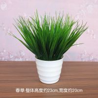 客厅仿真花摆设塑料假花向日葵小盆栽红掌餐桌面卧室绿植摆件绢花|春草+中盆