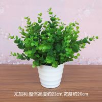 客厅仿真花摆设塑料假花向日葵小盆栽红掌餐桌面卧室绿植摆件绢花|大尤加利+中盆