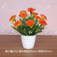 客厅仿真花摆设塑料假花向日葵小盆栽红掌餐桌面卧室绿植摆件绢花|康乃馨夕红+中盆