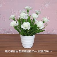 客厅仿真花摆设塑料假花向日葵小盆栽红掌餐桌面卧室绿植摆件绢花|康乃馨白色+中盆