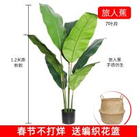 北欧假花仿真花摆件客厅装饰绿植旅人蕉龟背竹室内大型塑料树盆栽|1.2米新款旅人蕉(收藏宝贝送花篮