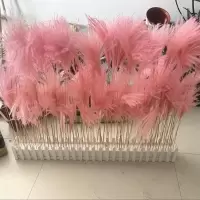 芦苇干花花束麦穗干花仿真花田园装饰ins拍照道具稻穗真花|30支粉色芦苇 80厘米