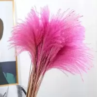 芦苇干花花束麦穗干花仿真花田园装饰ins拍照道具稻穗真花|15支玫红色芦苇 1米
