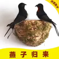 仿真燕子小鸟燕窝燕巢鸟窝春季美陈装饰品小燕子软装饰品仿真小鸟|2只燕子+双面胶+窝