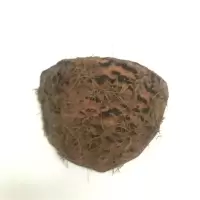 仿真燕子小鸟燕窝燕巢鸟窝春季美陈装饰品小燕子软装饰品仿真小鸟|燕窝+胶纸(不含燕子)