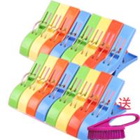 大号防风衣夹塑料夹子 晒棉被夹子衣服夹子 大号夹子|4包【16个装】+衣刷