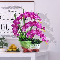 红掌仿真植物绿植仿真花艺家居装饰花餐桌摆设客厅室内办公桌摆件|白菜苍兰盆景深紫套装