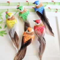 仿真小鸟花园庭院客厅摆件幼儿园装饰材料彩色小鸟盆栽园林装饰|仿真小鸟夹子款(颜色随机) 5只