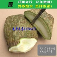 厚片米邦食用仙人掌 食用 做菜 美容仙人掌 外敷仙人掌 熬水