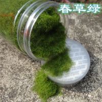 绿植仿真苔藓罐装40g尼龙青藓草粉diy假山造景创意草沫装饰人造草|春草绿40克装