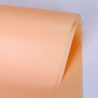 雾面纸 20张 鲜花包装纸半透明玻璃纸防水包装纸花束包装材料|[香槟]防水雾面纸 [5张]送拉花