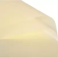 雾面纸 20张 鲜花包装纸半透明玻璃纸防水包装纸花束包装材料|【米黄】防水雾面纸 【10张】送丝带加拉花