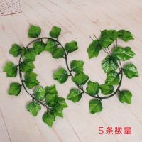 假花塑料花仿真花牵牛花绿植壁挂装饰花藤壁挂藤条装饰花摆件