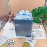 教师节创意存钱罐带灯小木屋可存可取送男女朋友同学儿童生日礼物
