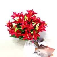绢花仿真花假花塑料花玫瑰花康乃馨餐桌卧室客厅酒柜装饰品摆件