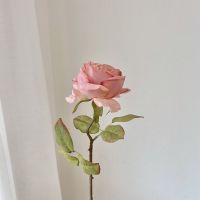 戴妃焦边玫瑰法式大朵卷边玫瑰仿真花客厅装饰餐桌花艺假花
