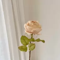 戴妃焦边玫瑰法式大朵卷边玫瑰仿真花客厅装饰餐桌花艺假花