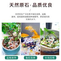 小彩石鱼缸铺底砂多肉盆栽铺面石子五彩石头园艺装饰造景