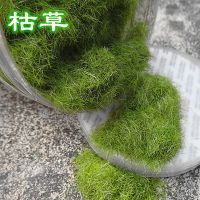 绿植仿真苔藓罐装40g尼龙青藓草粉diy假山造景创意草沫装饰人造草