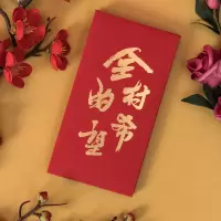 红包个性创意恶搞利是封有钱任性红包寿满月奖金6个装