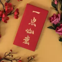 红包个性创意恶搞利是封有钱任性红包寿满月奖金6个装