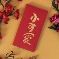 红包个性创意恶搞利是封有钱任性红包寿满月奖金6个装